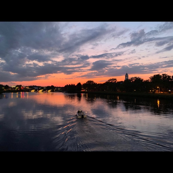 Meet your Posher, Yaritza - Picture 1 of 1